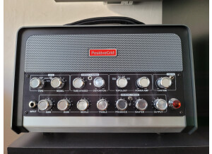 Positive Grid Bias Head (992)