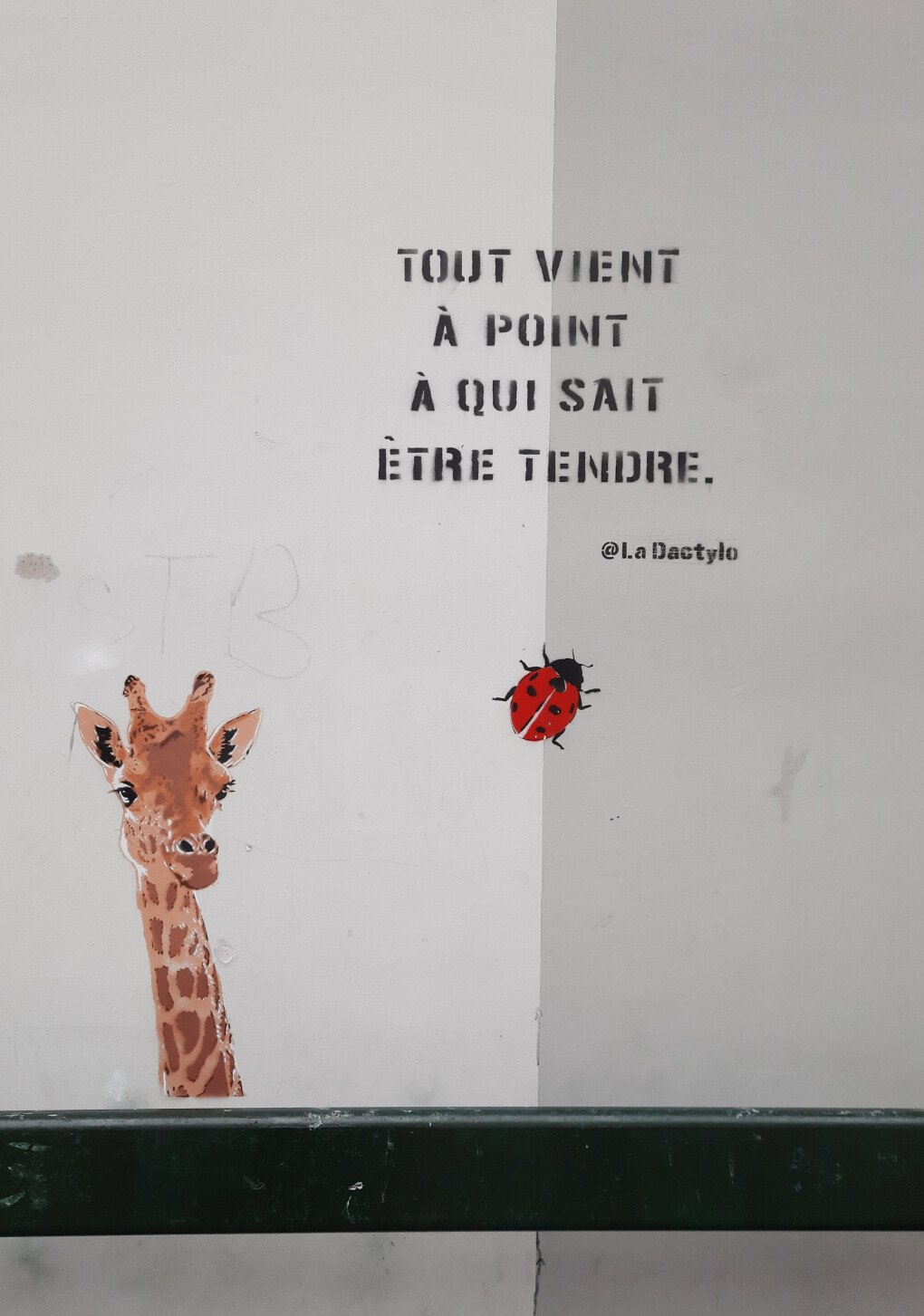 6096850.jpg 6096850.jpg