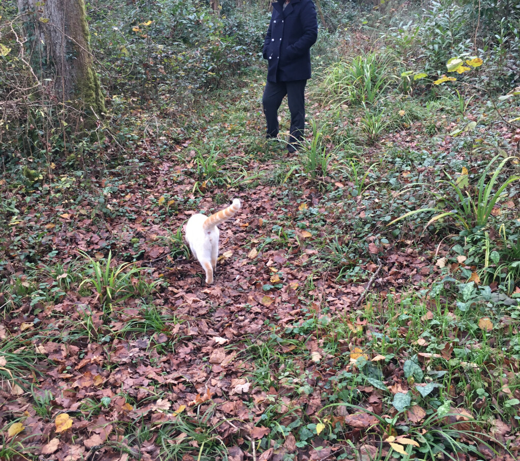 6096967.png 6096967.png