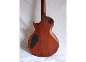 LTD EC-256 - Aged Vintage Gold (90875)