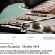 Session Guitarist Electric Mint Session Guitarist Electric Mint