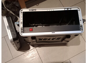 Gator Cases GR-4L (25808)