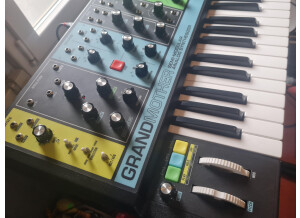 Moog Music Grandmother (93234)