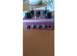 Strymon DIG (29554)