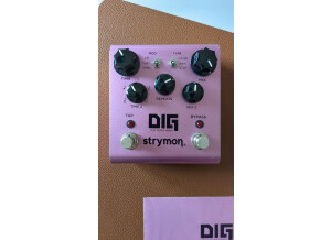Strymon DIG (27885)