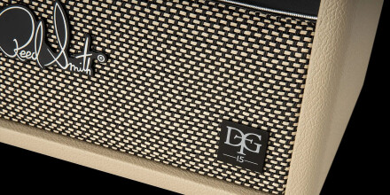 PRS DGT 15 : DGT 15DETAIL PRS DGT 15 : DGT 15DETAIL