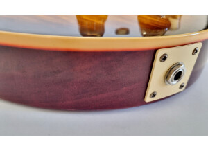 Gibson 60th Anniversary 1959 Les Paul Standard (70205)