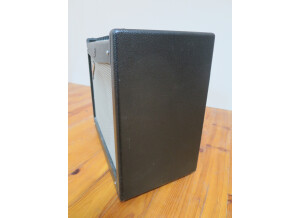 Fender Mustang III (3394)