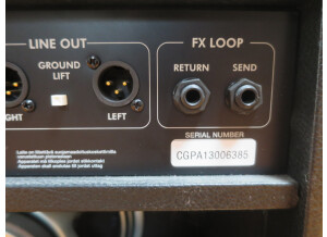 Fender Mustang III (98475)