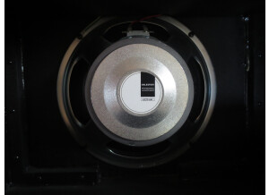 Fender Mustang III (6028)