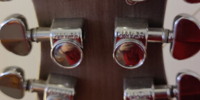 Wild customs shovel - custom truss rod plate pups SP custom