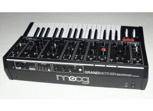 Moog Music Grandmother (77349)