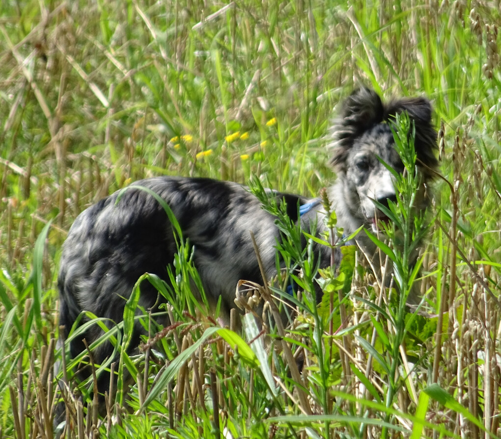 6103827.jpg 6103827.jpg