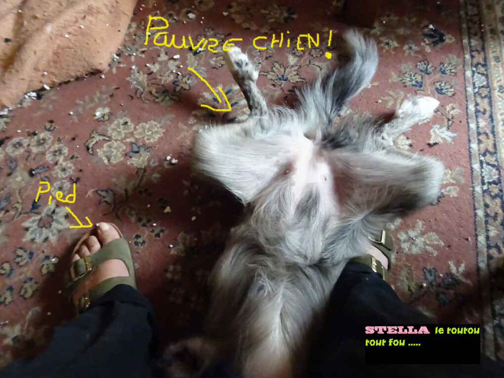 6103828.jpg 6103828.jpg