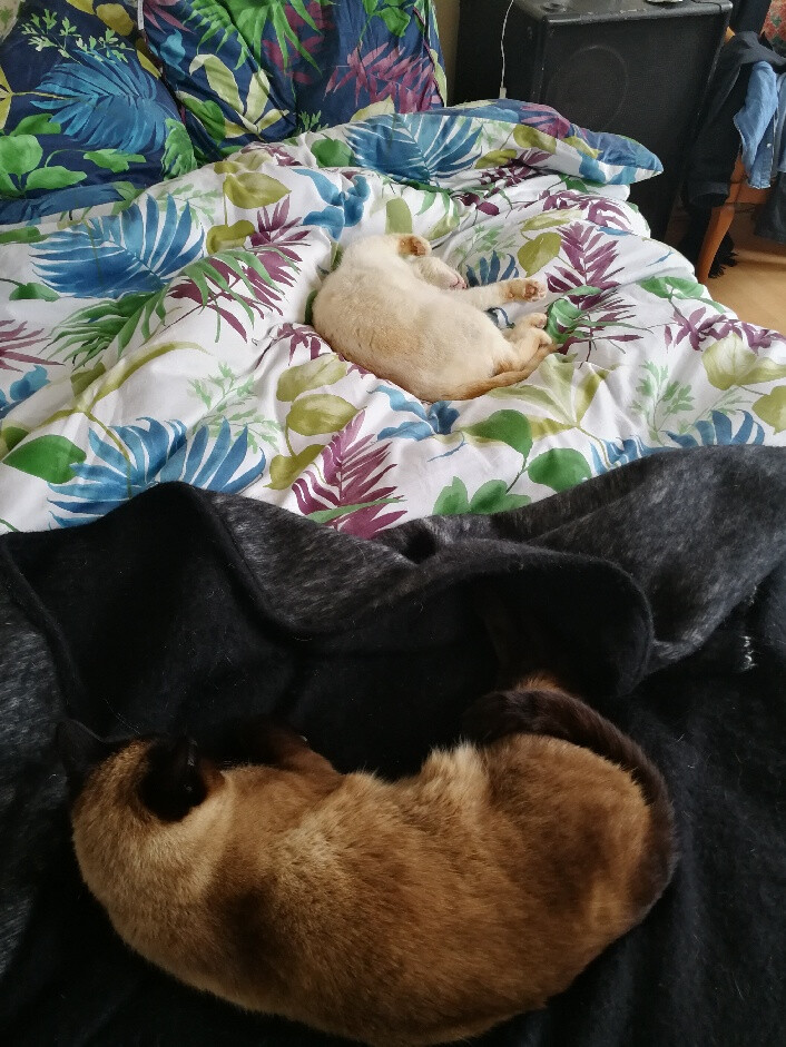 6103829.jpg 6103829.jpg