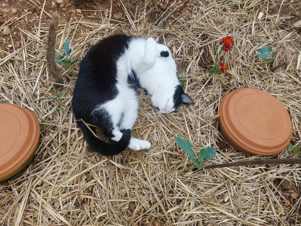 6104438.jpg 6104438.jpg