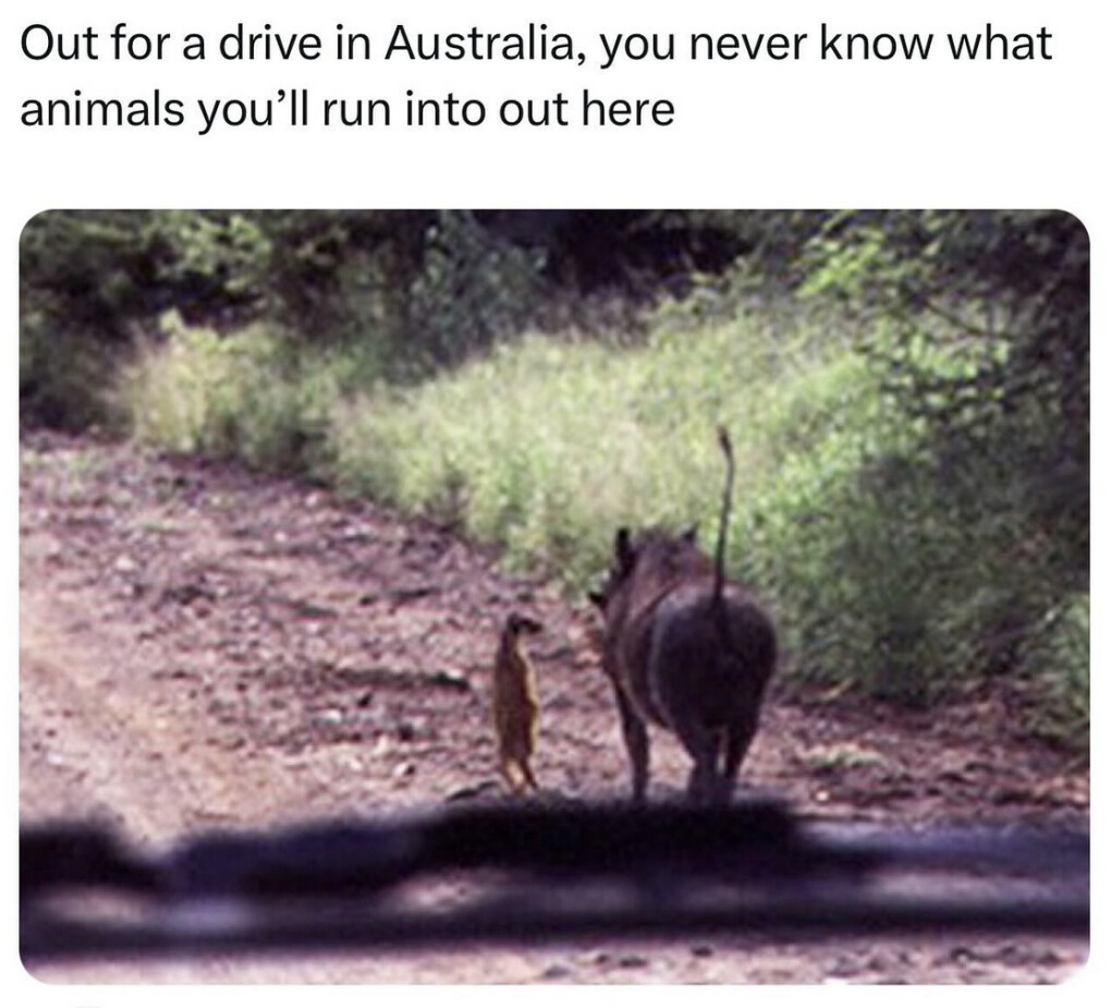 6104785.png 6104785.png
