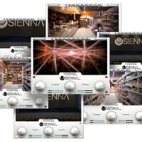 Vends licence pour Acustica Audio SIENNA Vol A