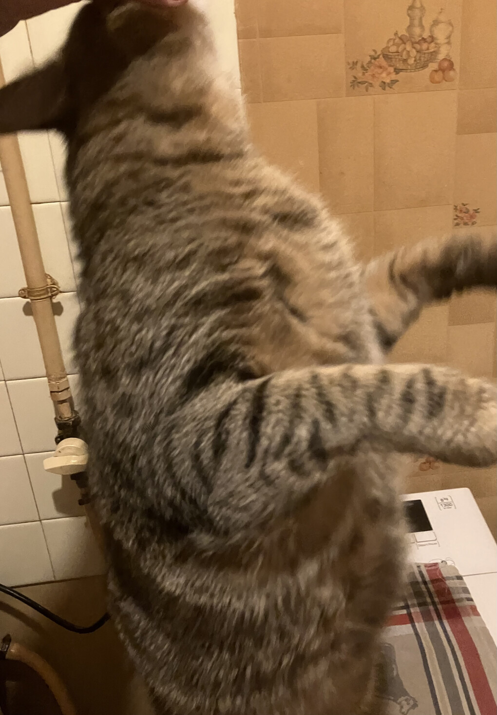 6105881.jpeg 6105881.jpeg