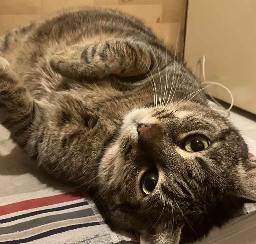 6105892.jpeg 6105892.jpeg