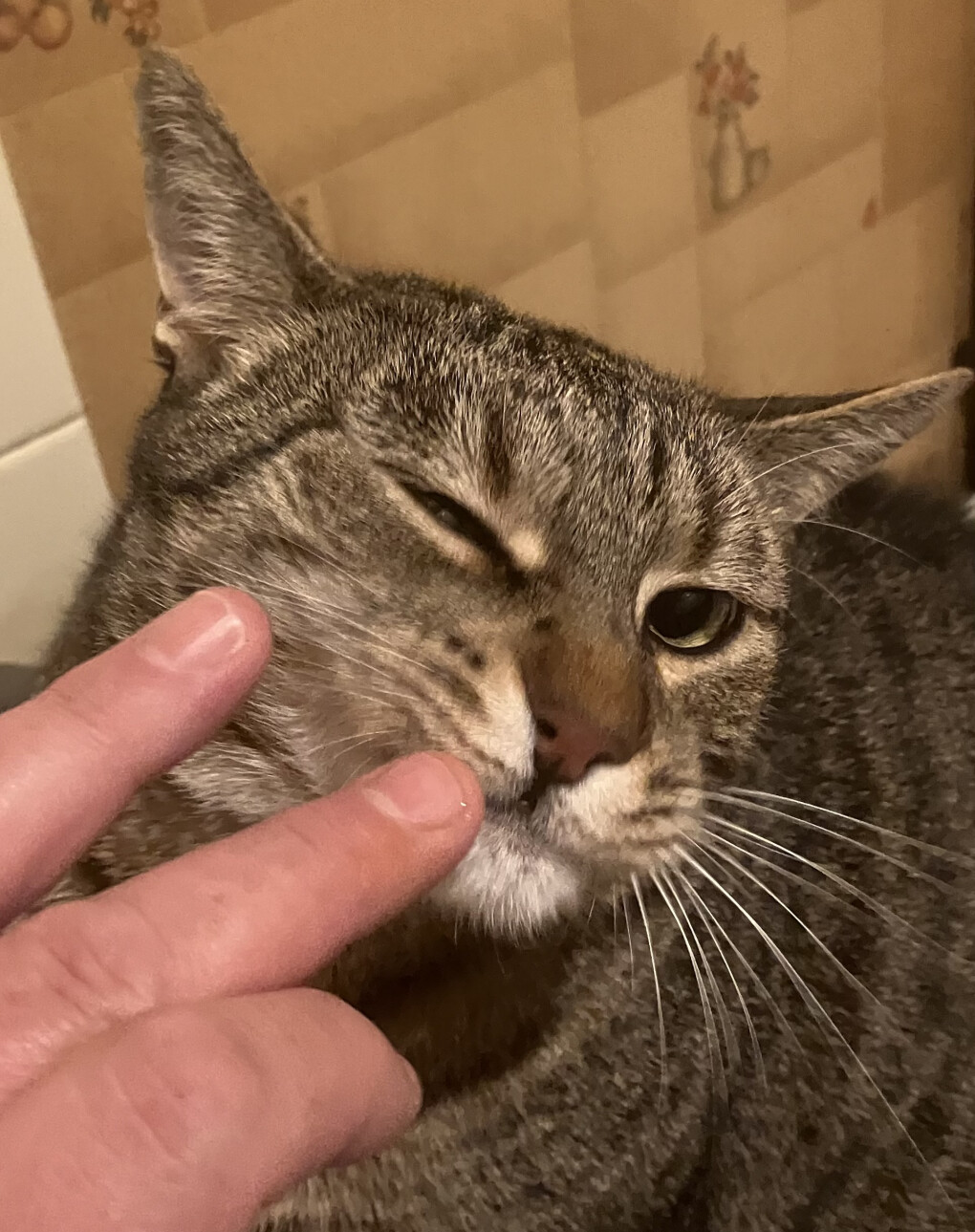 6105899.jpeg 6105899.jpeg