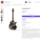 STR-1 Pro Electric Sitar Guitar STR-1 Pro Electric Sitar Guitar