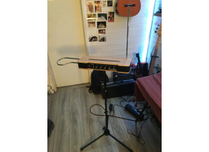 Moog Music Etherwave Theremin (27938)