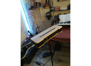 Moog Music Etherwave Theremin (10661)