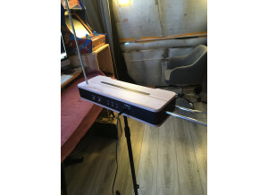 Moog Music Etherwave Theremin (58317)