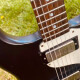 1966 Worn Wilshire w/ Tremotone 1966 Worn Wilshire w/ Tremotone