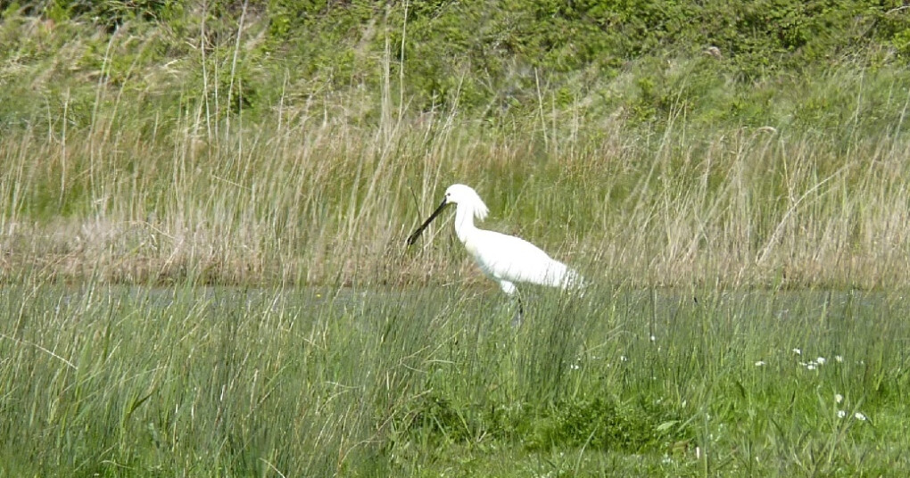 6110774.jpg 6110774.jpg