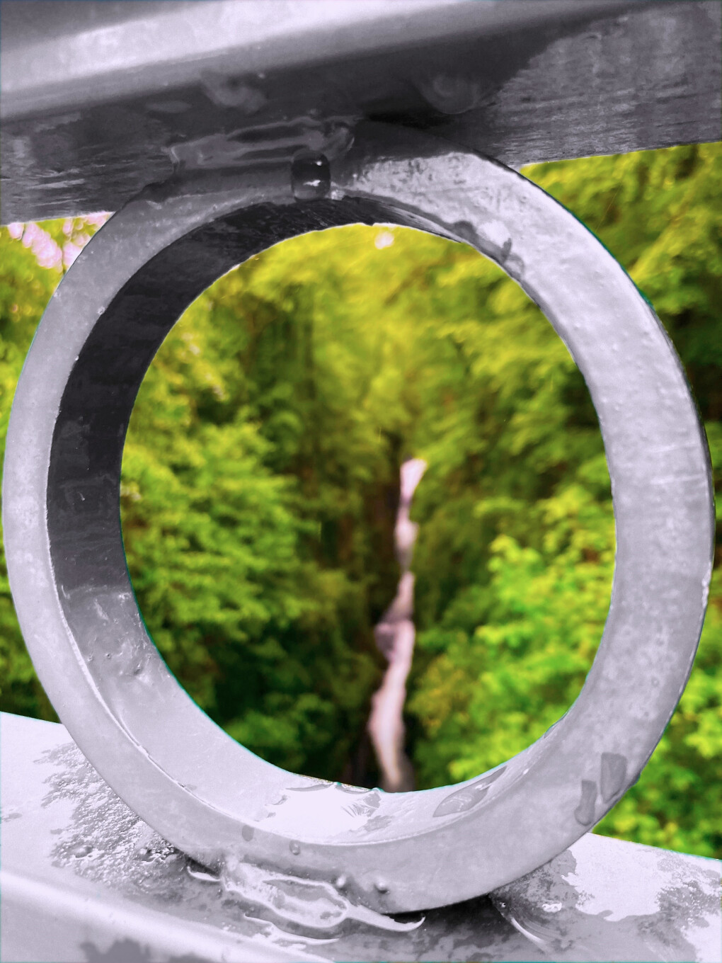 6112117.jpg 6112117.jpg