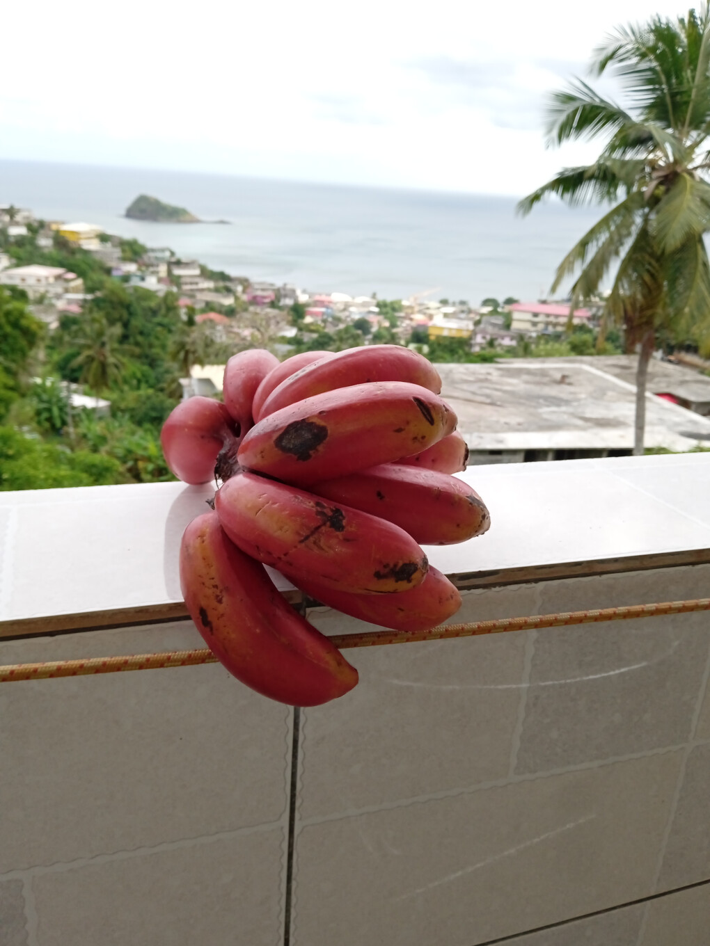 6112195.jpg 6112195.jpg