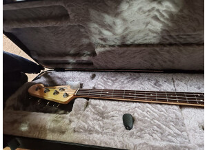 americain-performer-precision-4581789