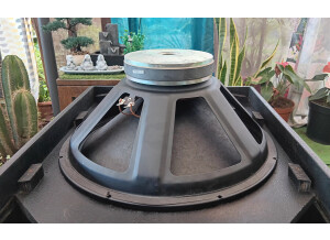 Alto Professional TSSUB18 (74660)
