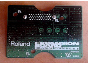 Roland SR-JV80-04 Vintage Synthesizer (96409)