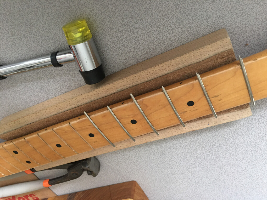 6115004.jpeg 6115004.jpeg