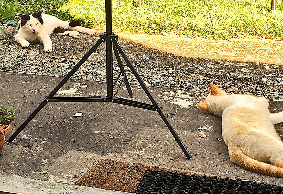 6116705.jpg 6116705.jpg