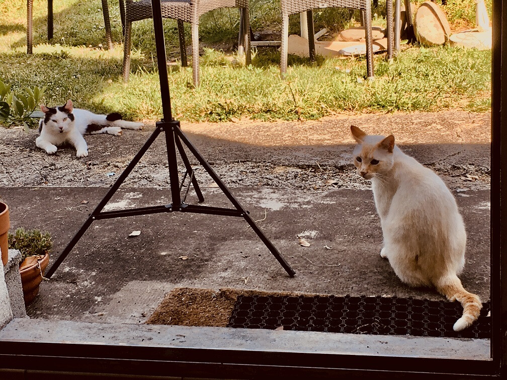 6116706.jpg 6116706.jpg