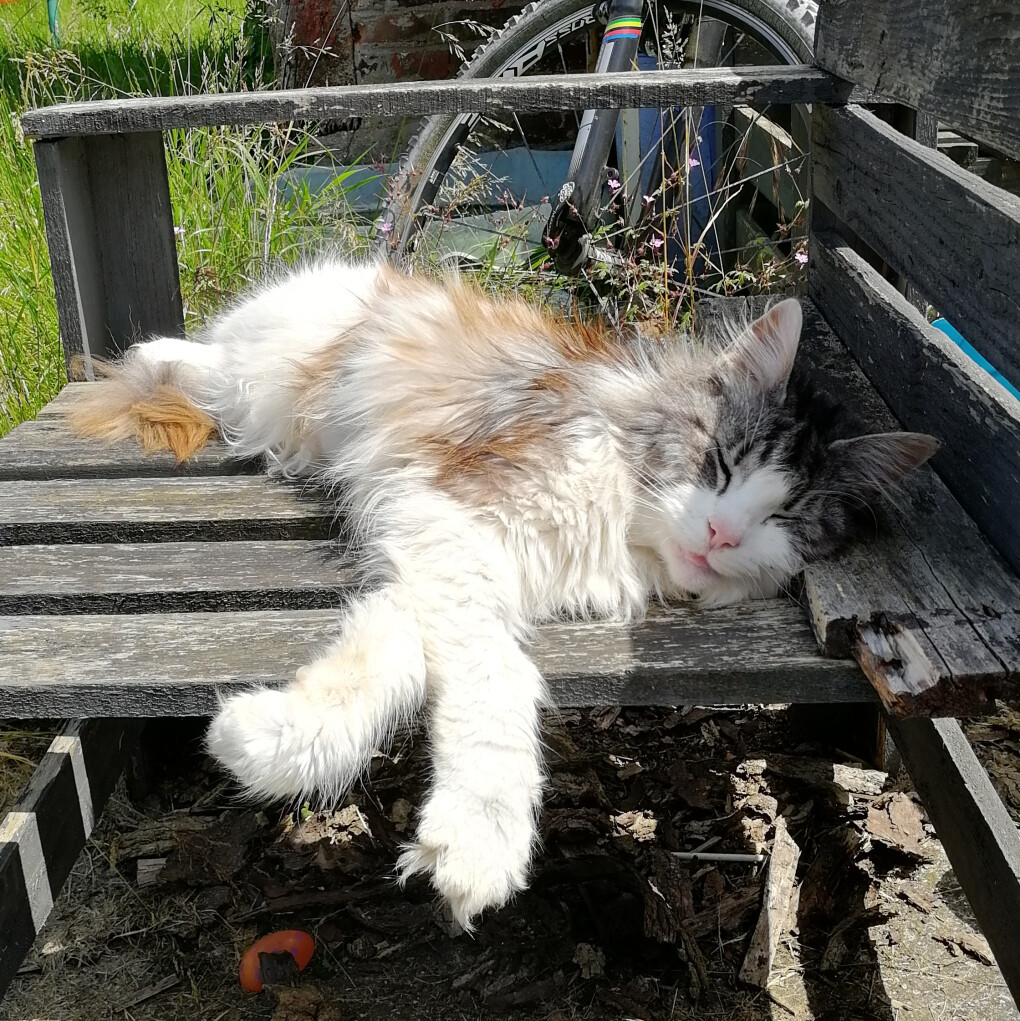 6117111.jpg 6117111.jpg