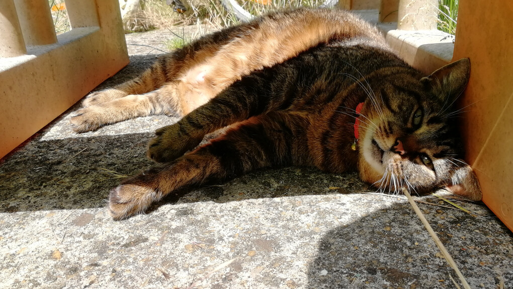 6117112.jpg 6117112.jpg