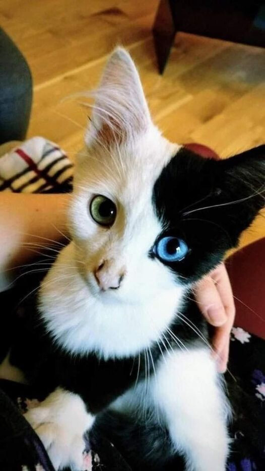 6119523.jpg 6119523.jpg