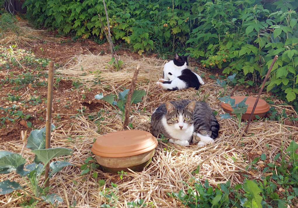 6120405.jpg 6120405.jpg