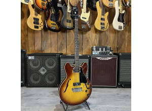 yeuijtsrbndhadwylnep