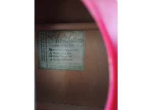 Art & Lutherie Wild Cherry (99581)