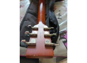 Art & Lutherie Wild Cherry (22548)