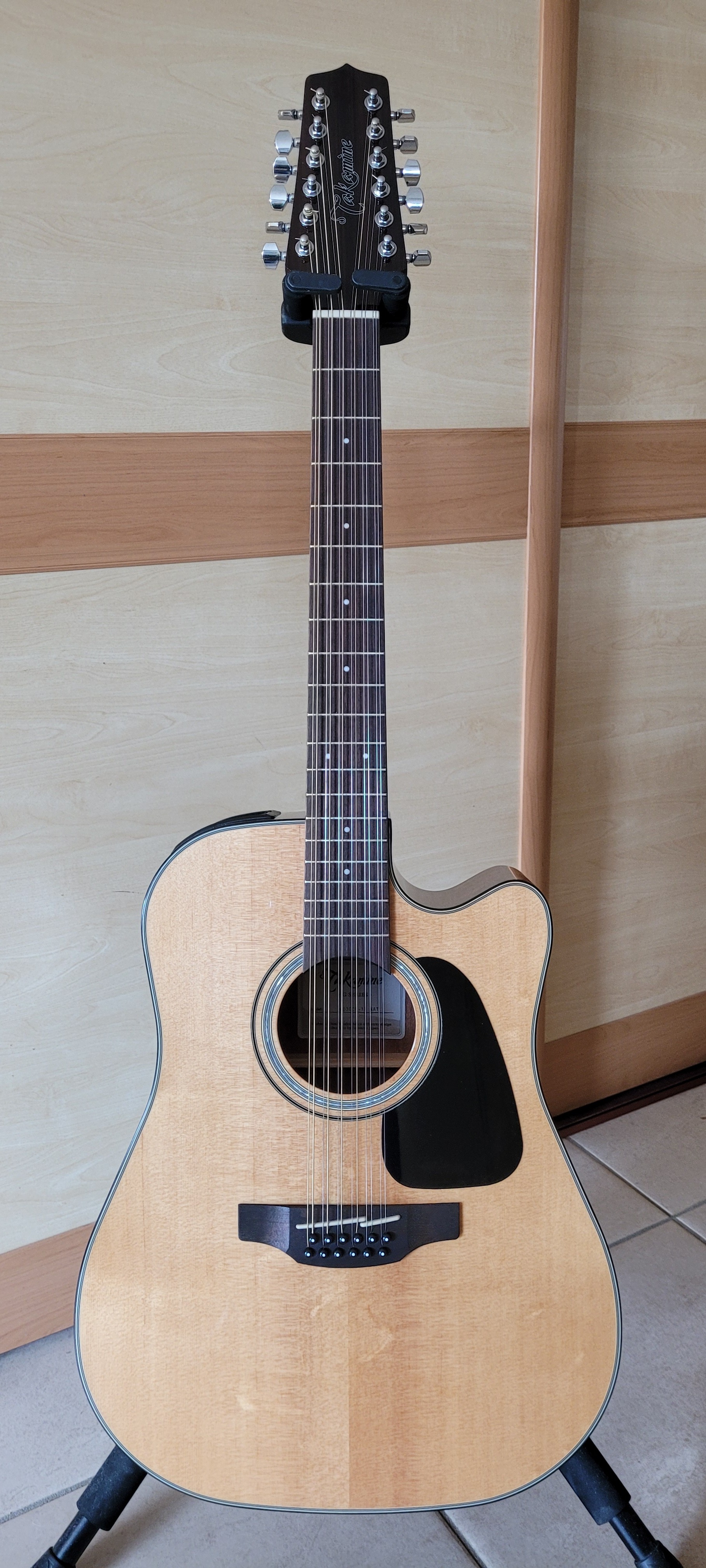 Takamine GD30CE-12