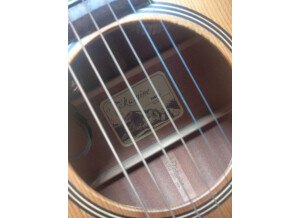 Takamine TAN10C (41201)