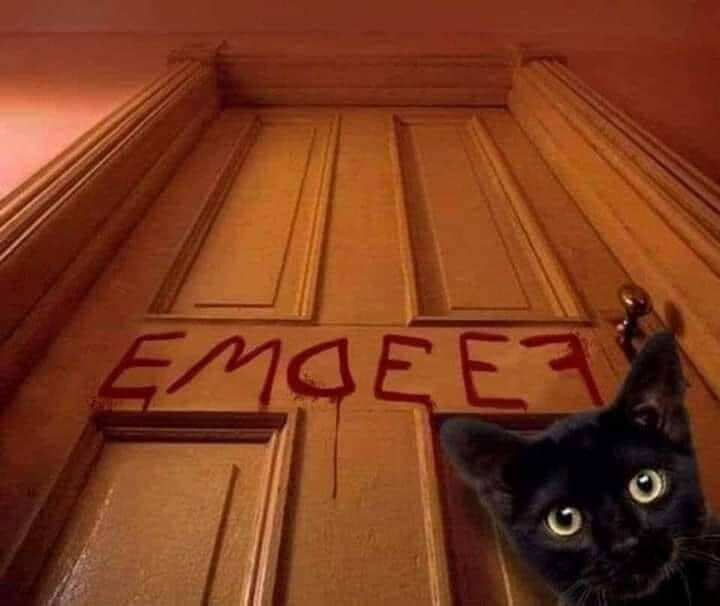 6122648.jpg 6122648.jpg