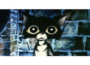 image 2024-06-14 231045021